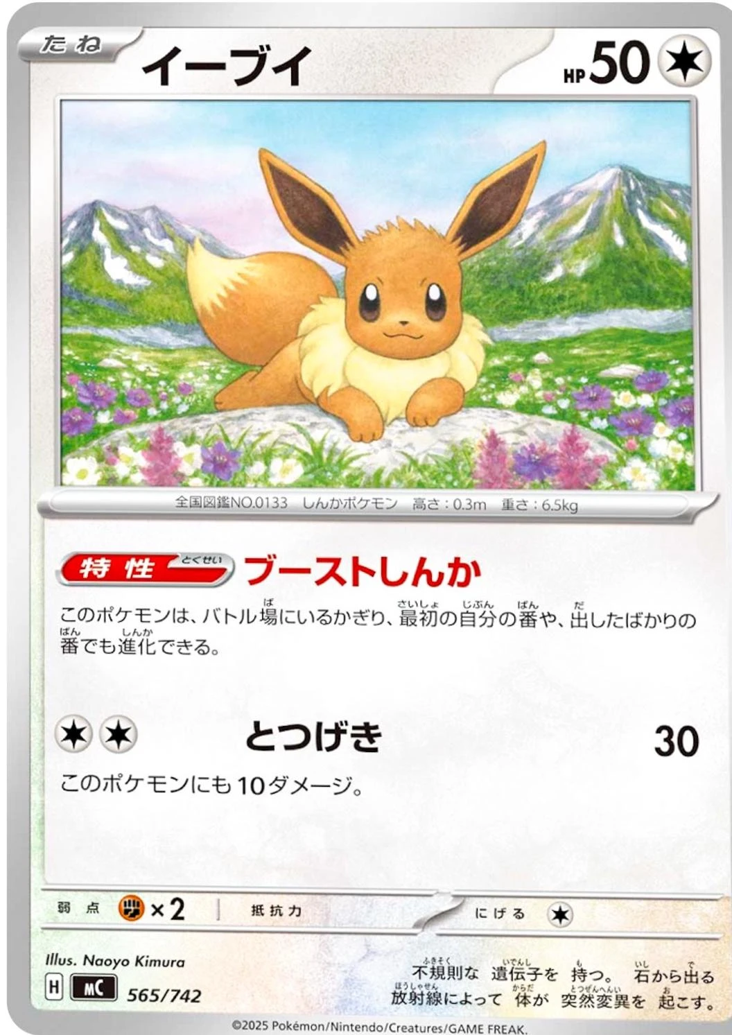 Eevee #565