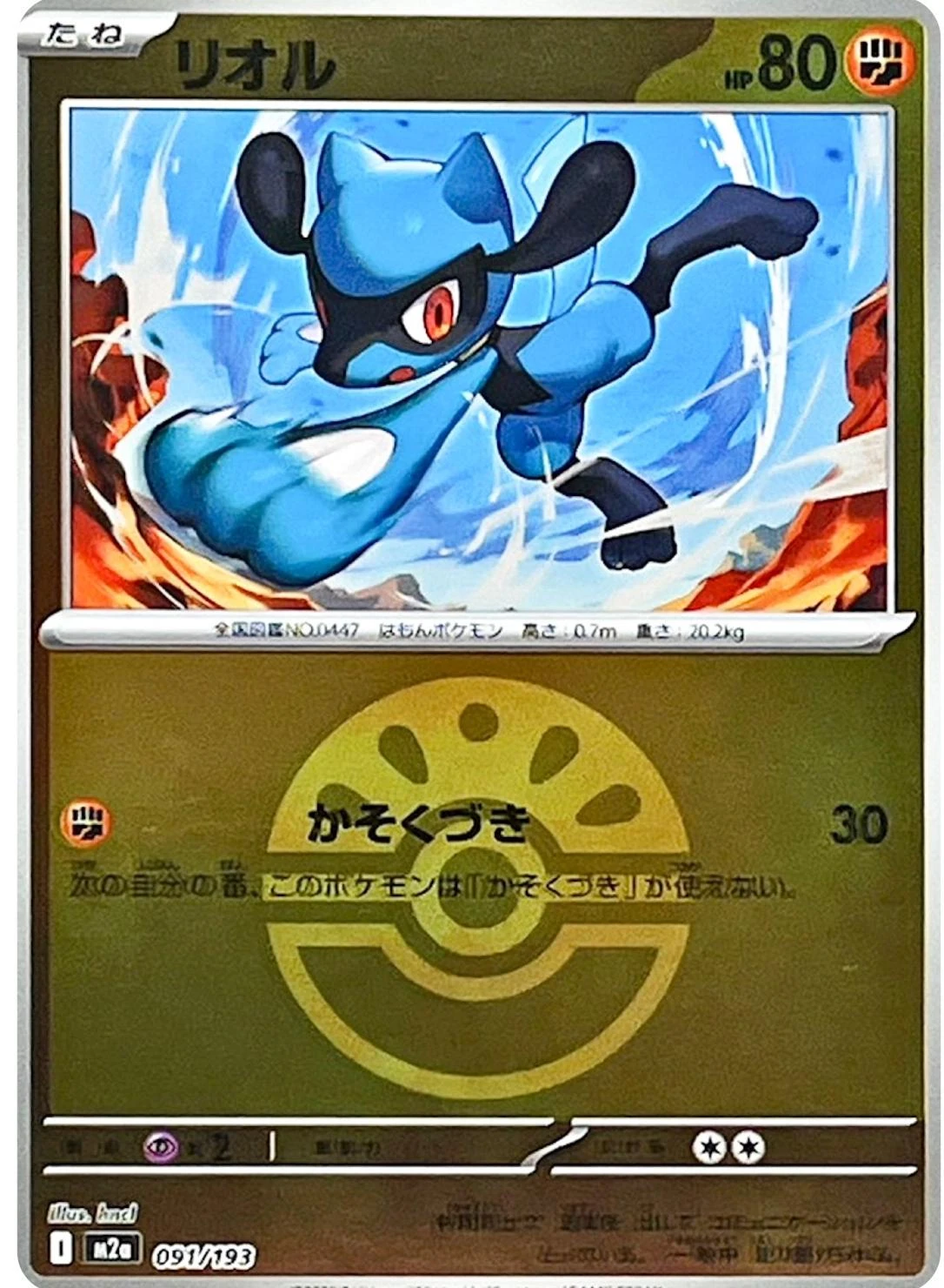Riolu Ball #91