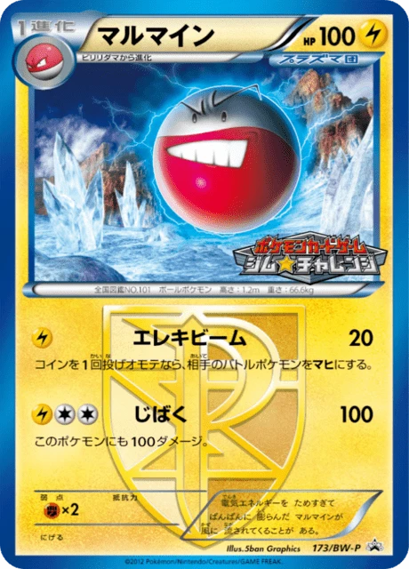 Electrode #173/BW-P