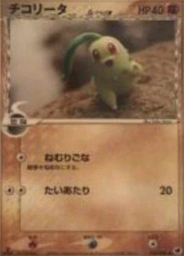 Chikorita #43