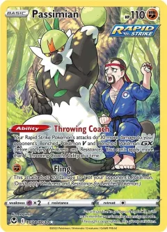 Passimian Tg08