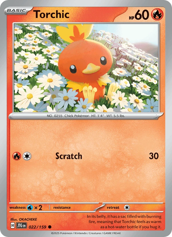 Torchic #22
