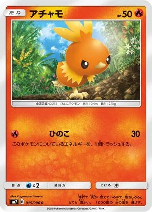 Torchic #15