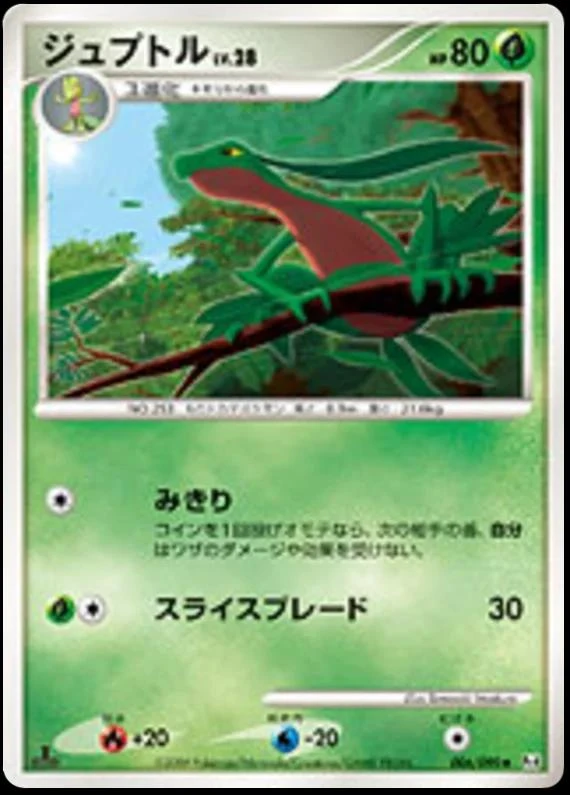 Grovyle 1st Edition #6