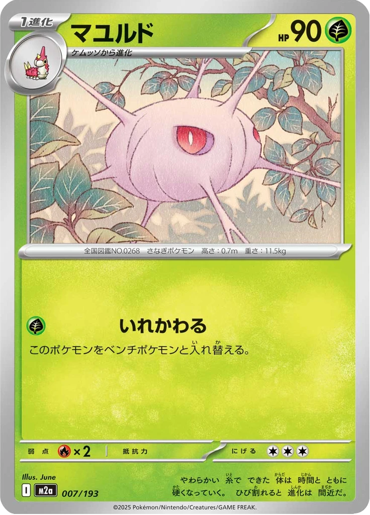 Cascoon #7
