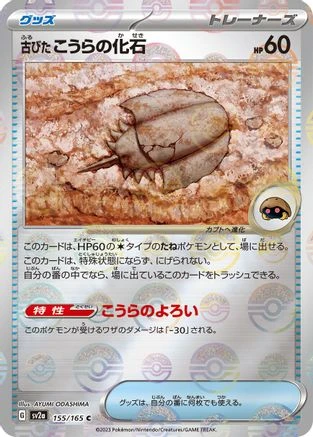 Old Dome Fossil Reverse #155