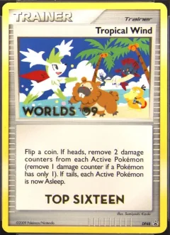 Tropical Wind Top Sixteen