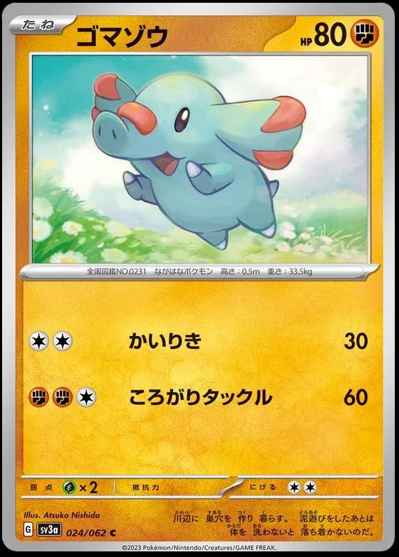 Phanpy #24
