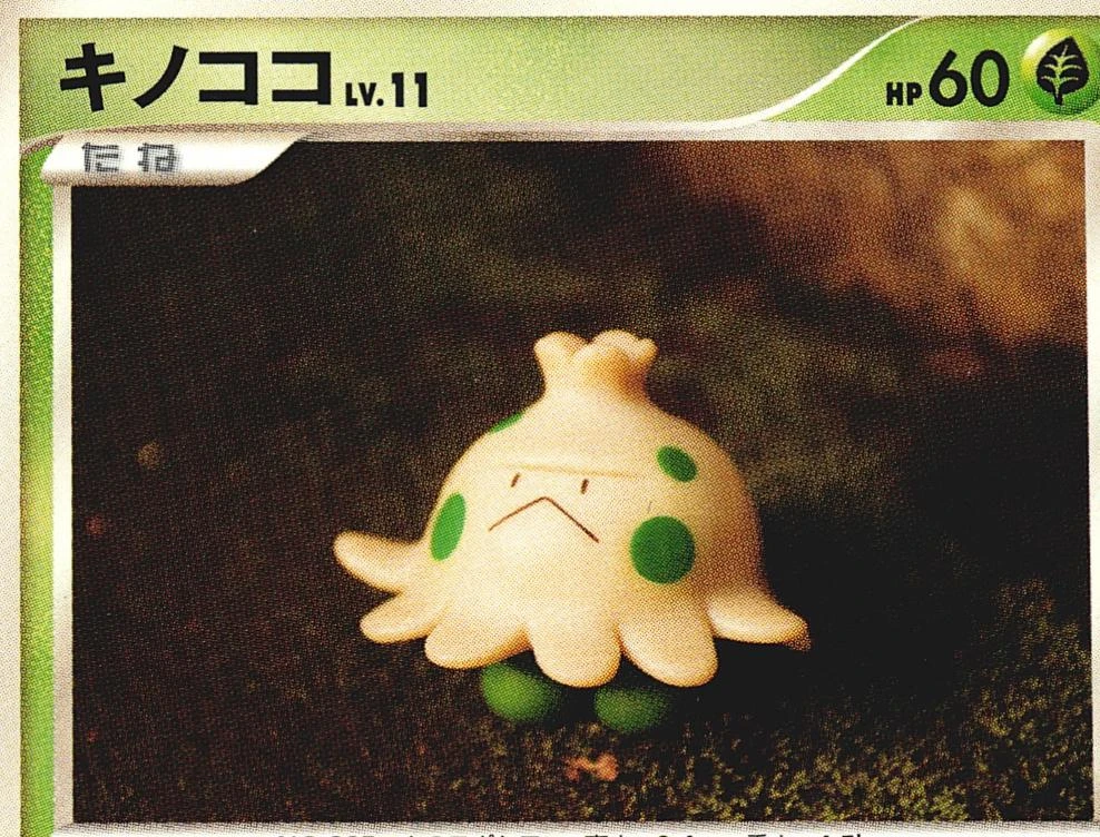 Shroomish 1st Edition #13