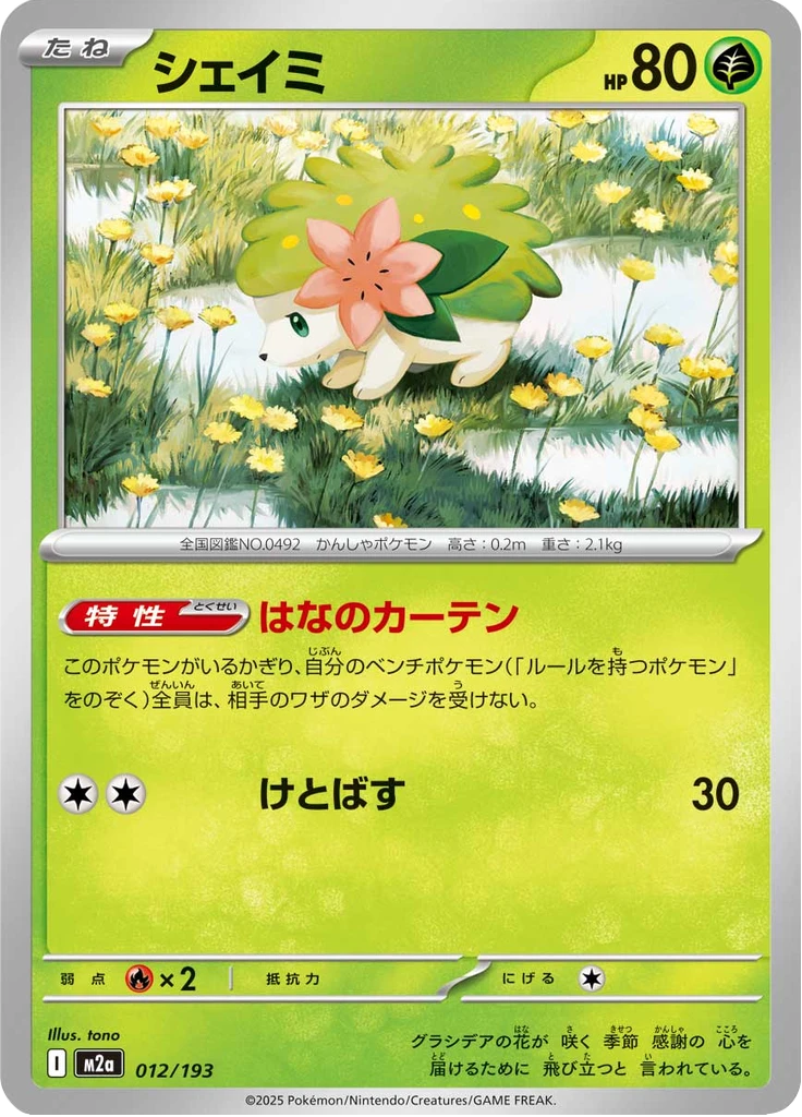 Shaymin Ball #12