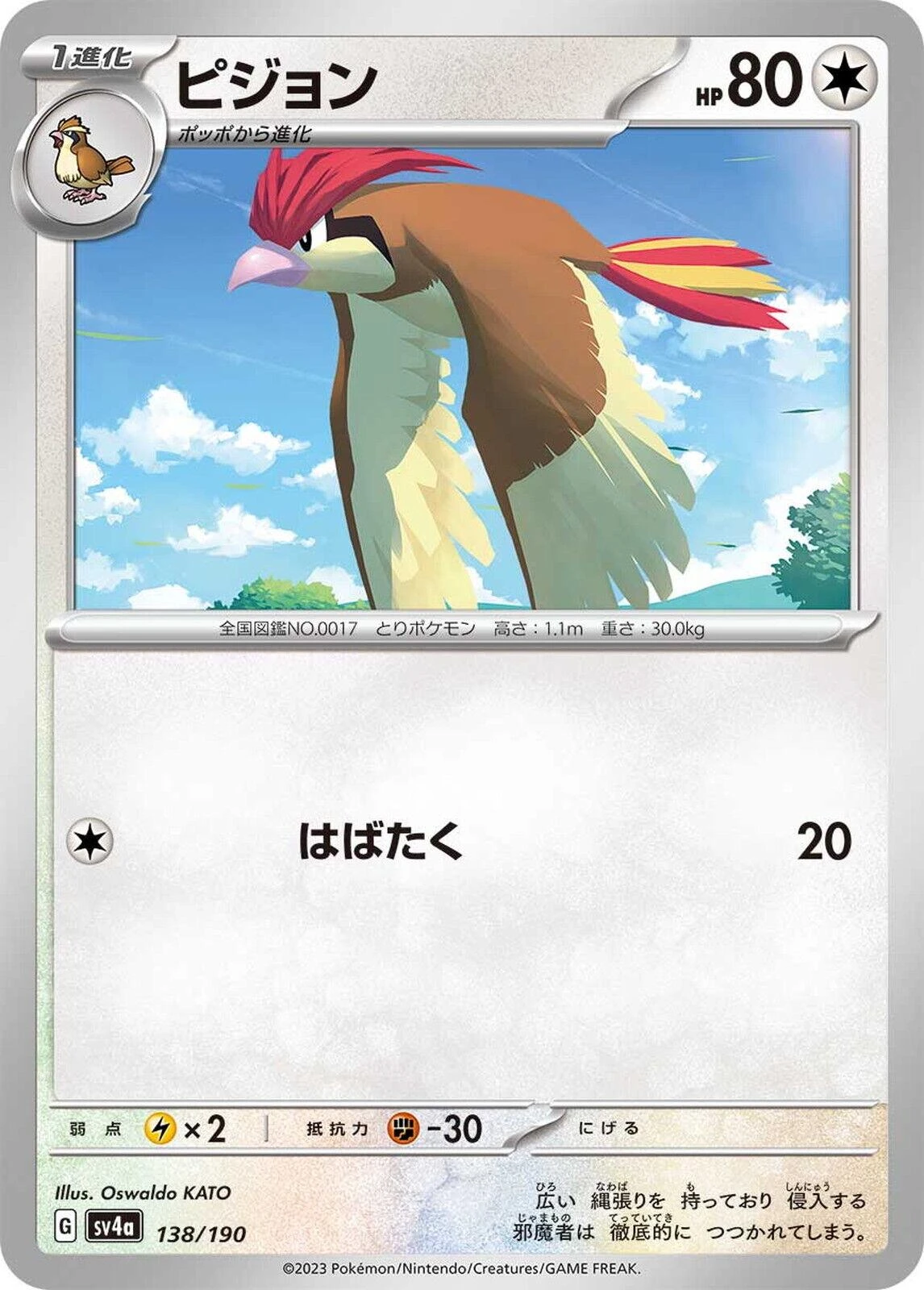 Pidgeotto #138