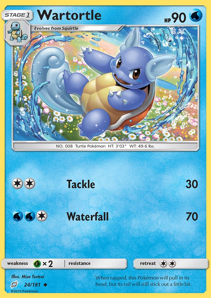 Wartortle #24