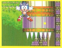 Sonic