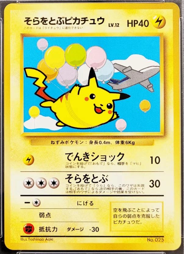 Flying Pikachu ANA Plane on Right #25