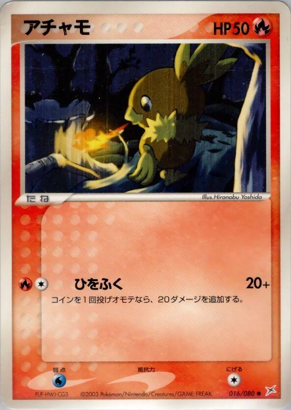 Torchic #16