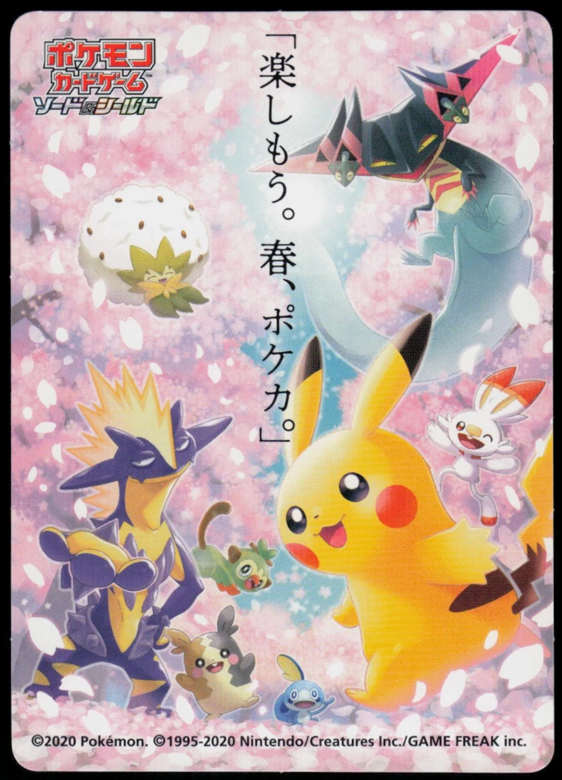 Let's Have Fun Pokeka Spring 2020 Campaign Sticker