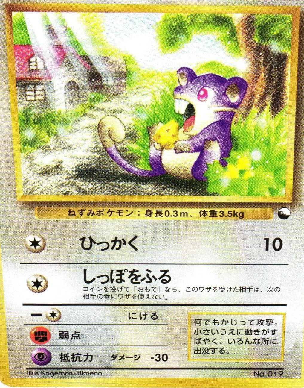 Rattata #19
