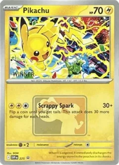 Pikachu World Championships Winner