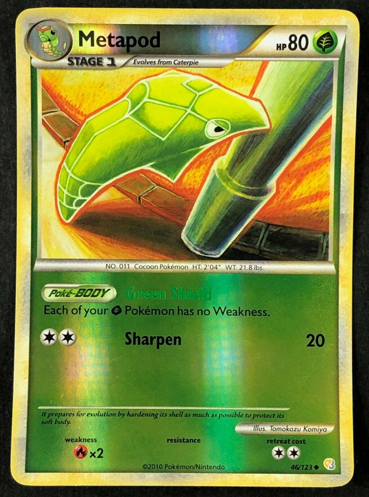 Metapod #46
