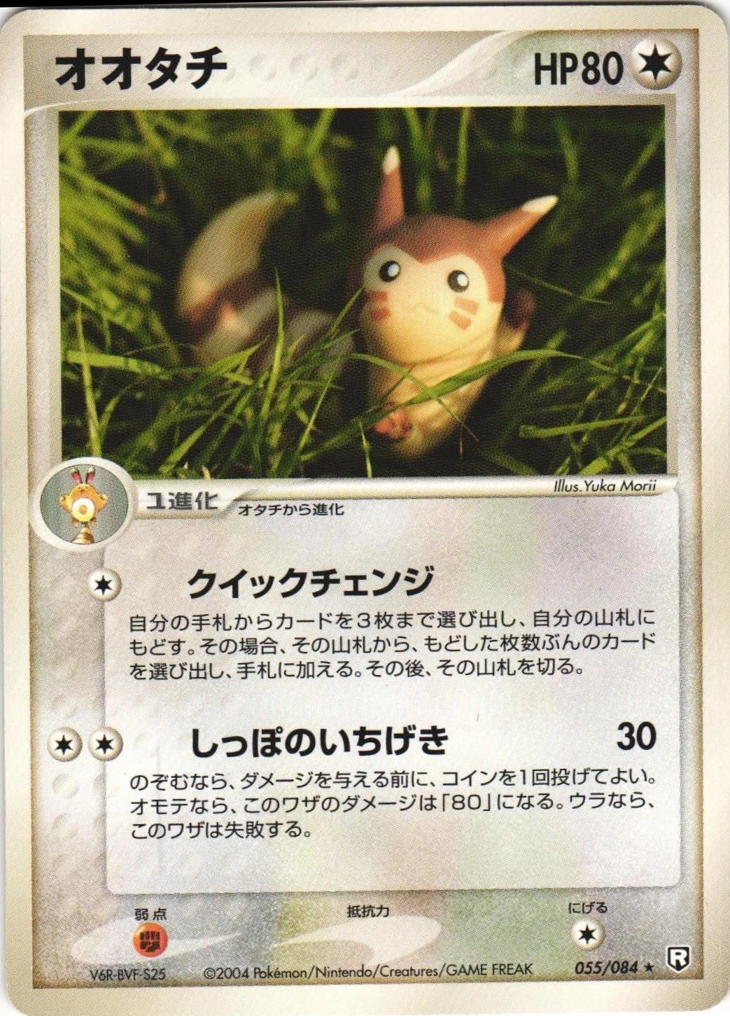 Furret #55