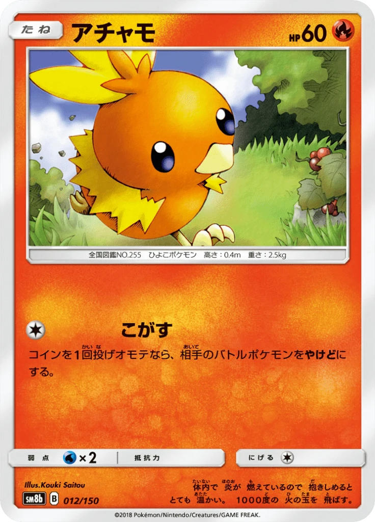 Torchic #12