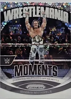 Shawn Michaels [Under Card]
