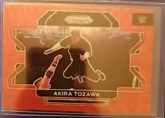 Akira Tozawa [Ruby Wave Prizm]