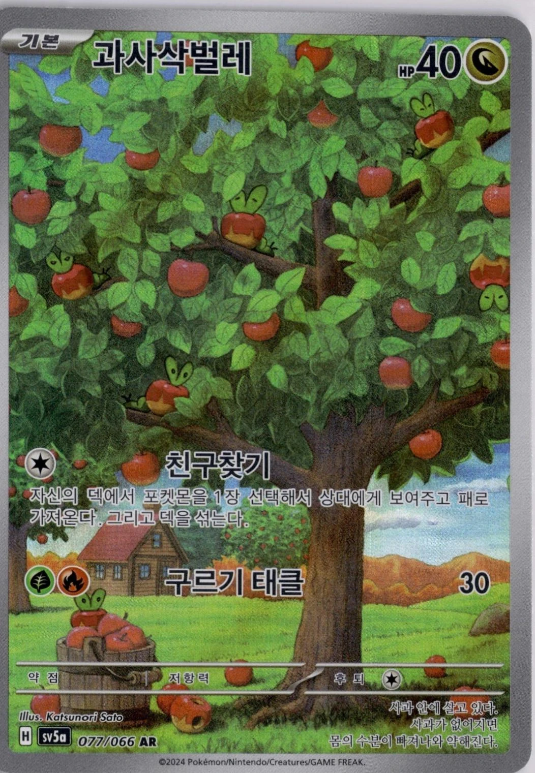 Applin #77