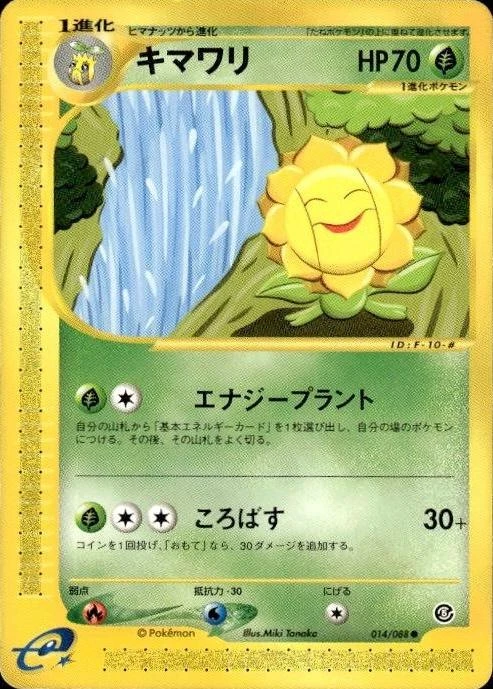 Sunflora #14