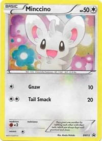 Minccino Bw13