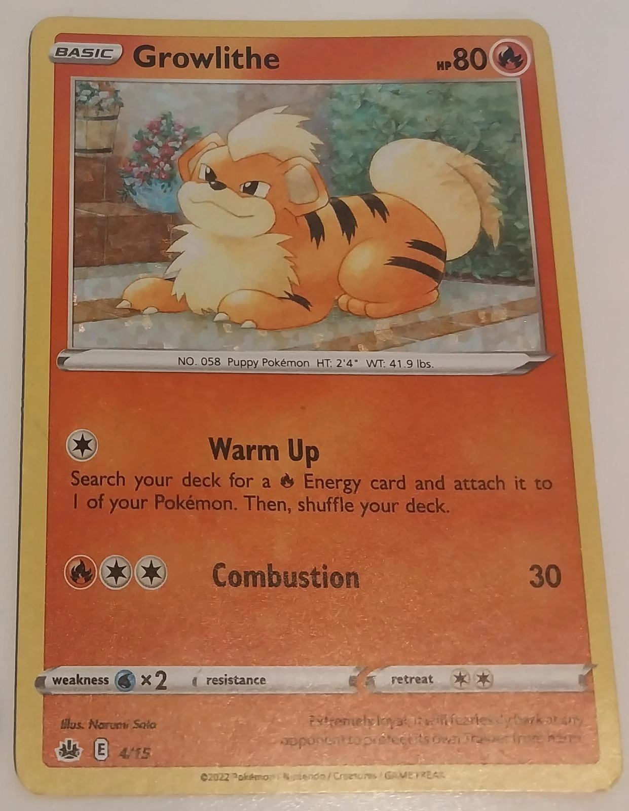Growlithe Holo #4