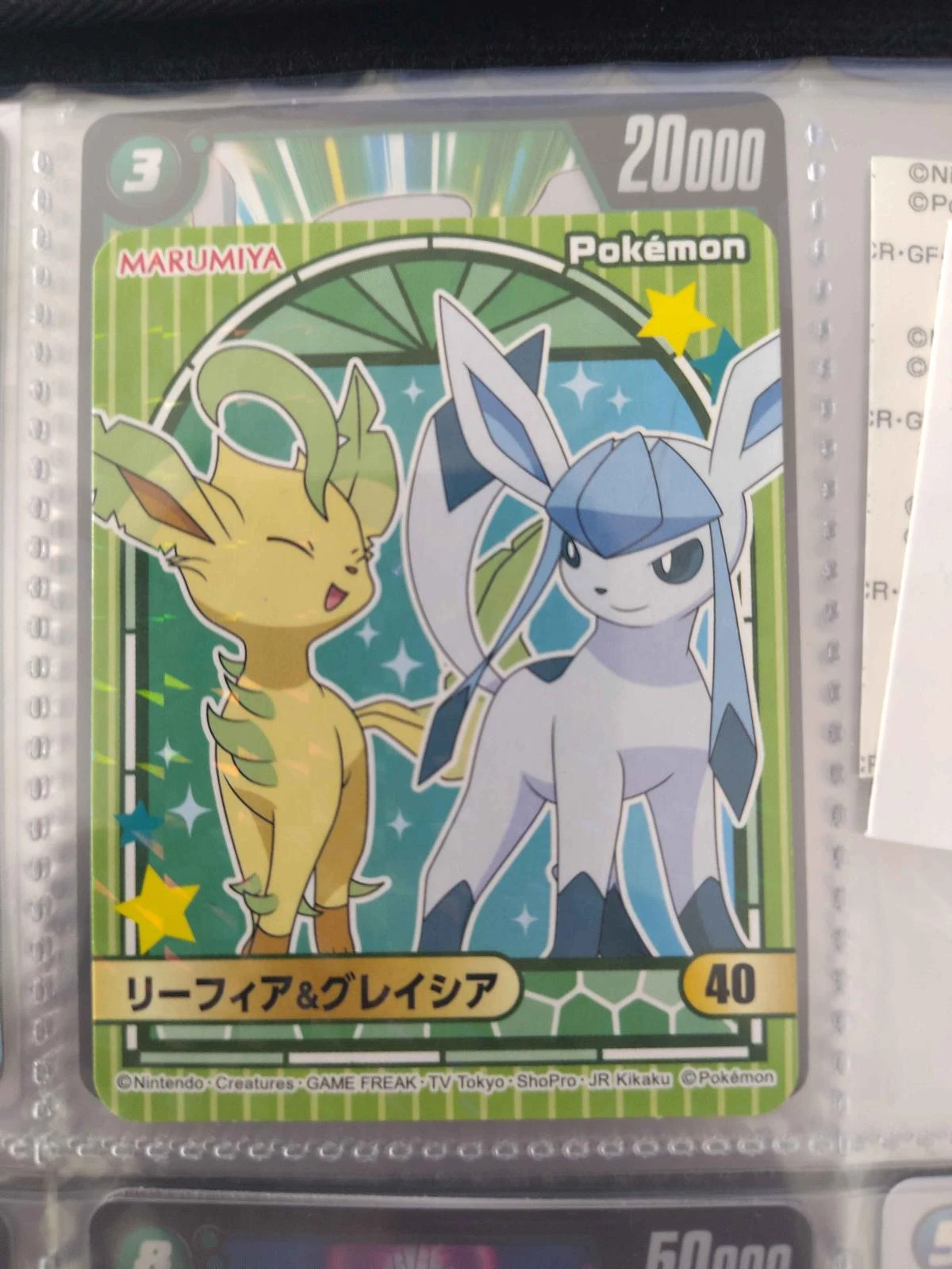Leafeon & Glaceon #40