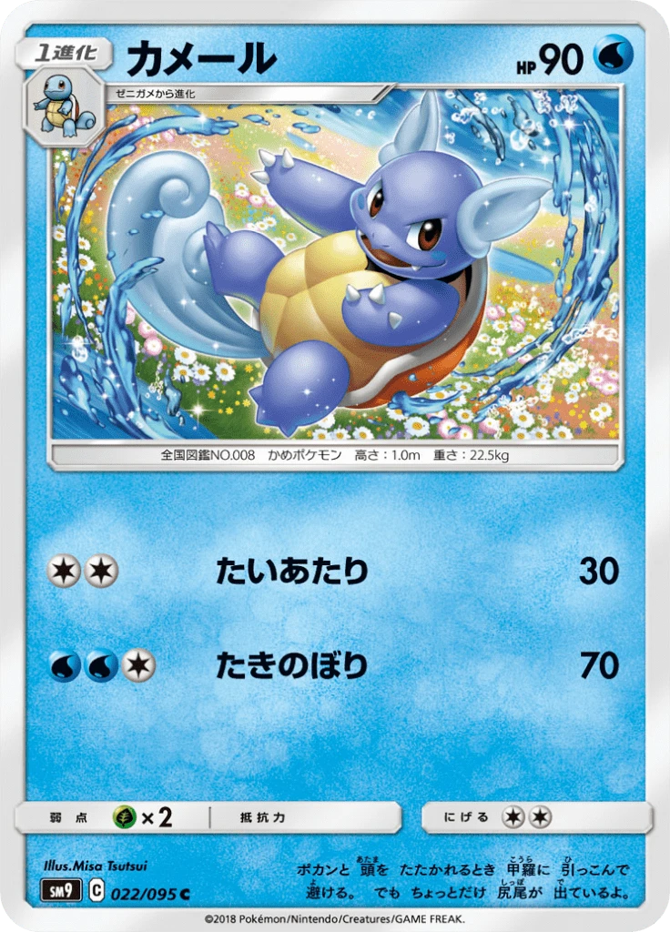 Wartortle #22