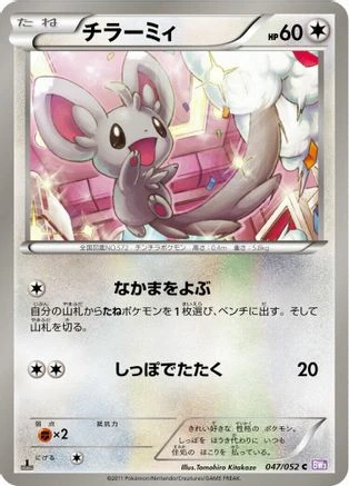 Minccino #47