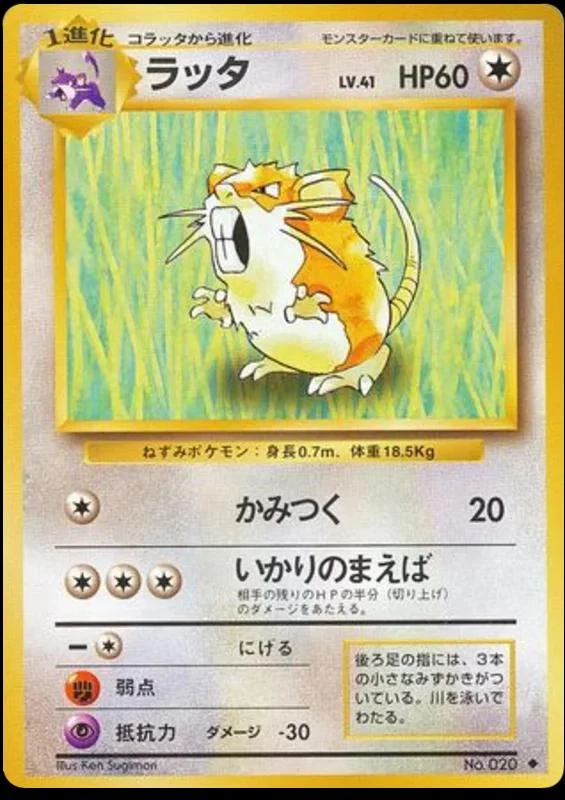 Raticate #20