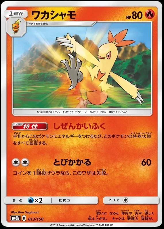 Combusken #13