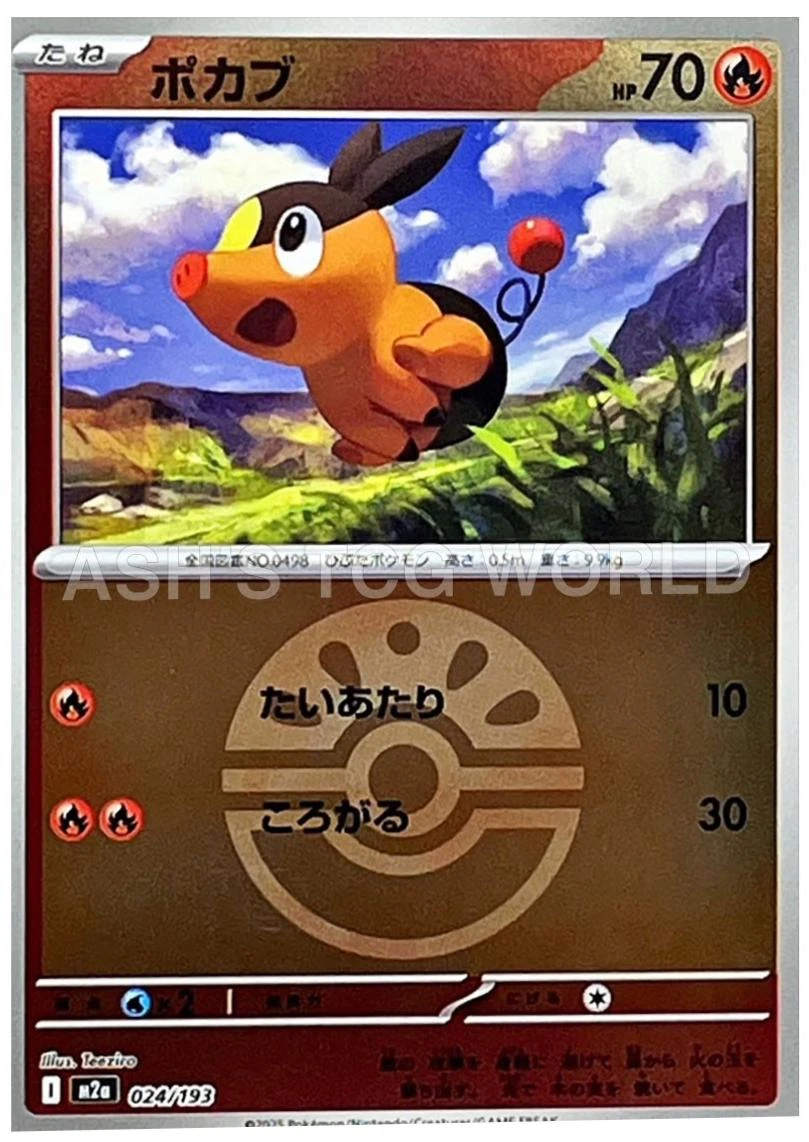 Tepig Ball #24