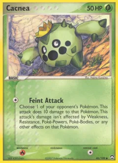 Cacnea Reverse Holo