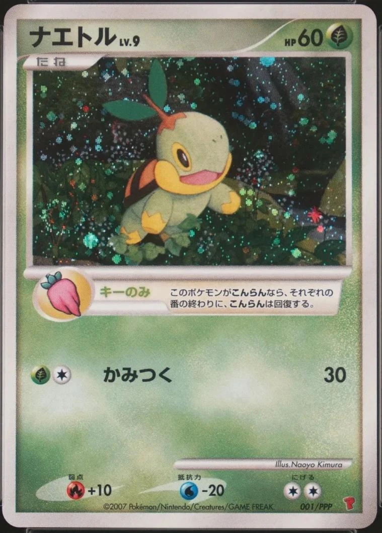 Turtwig Fan Club #1/PPP