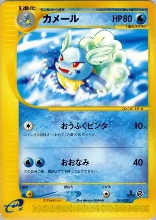 Wartortle 1st Edition #19