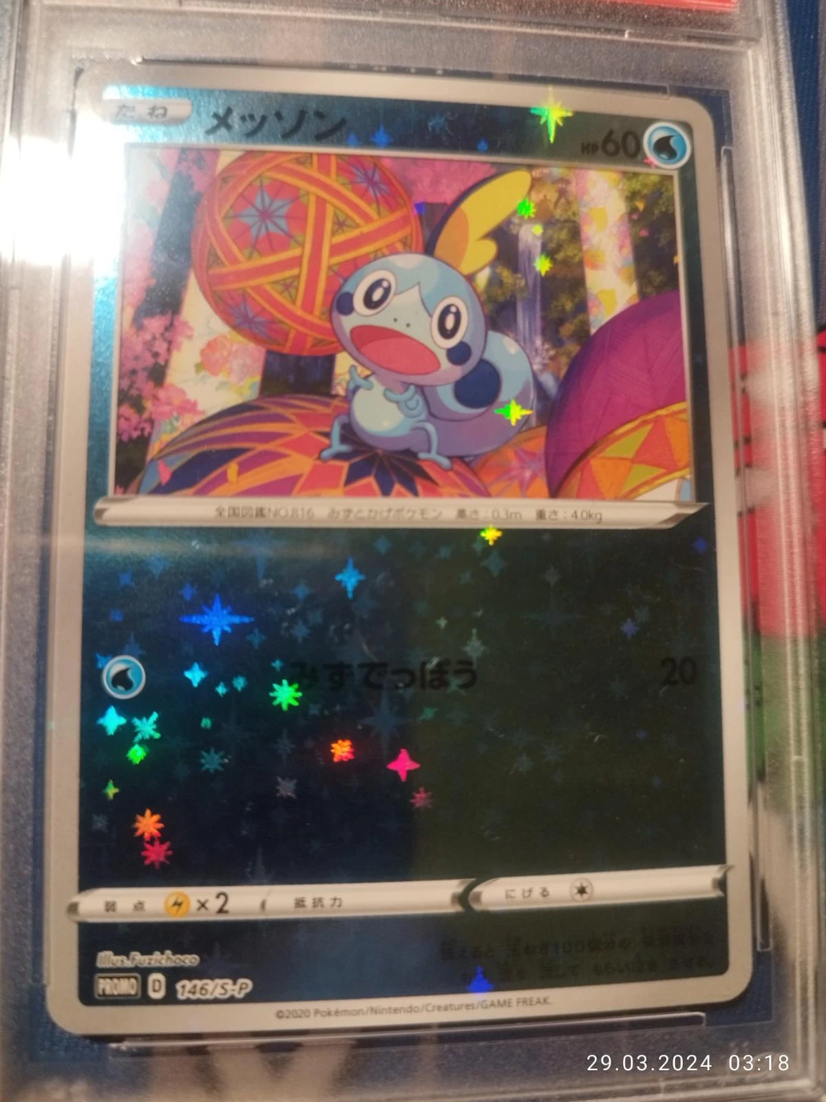Sobble 146s P