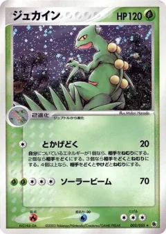 Sceptile 1st Edition