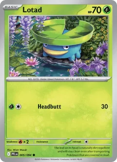 Lotad Reverse Holo