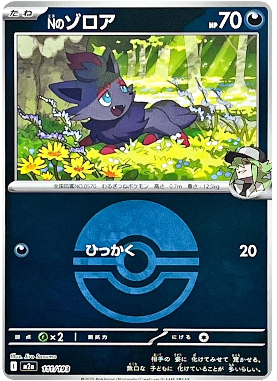 N's Zorua Ball #111