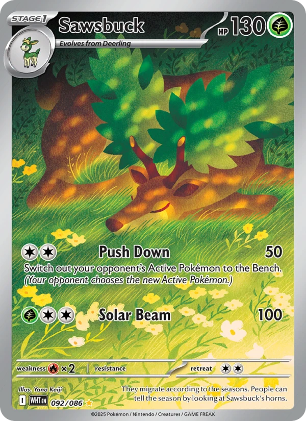 Sawsbuck #92