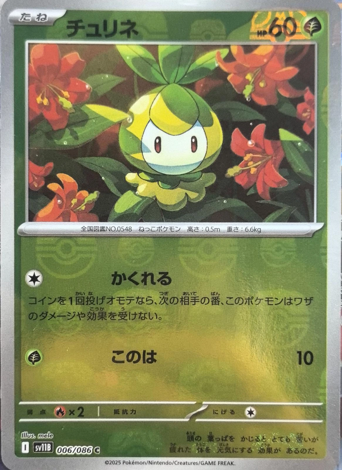 Petilil Master Ball #6