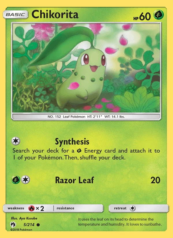 Chikorita #5