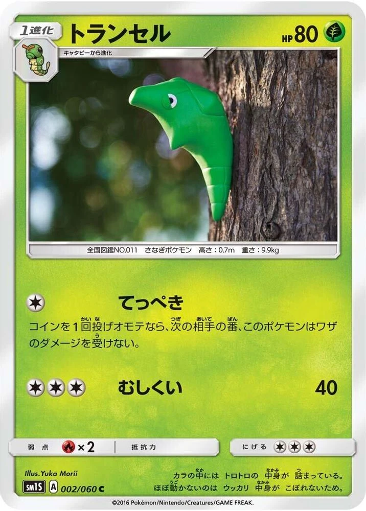 Metapod #2