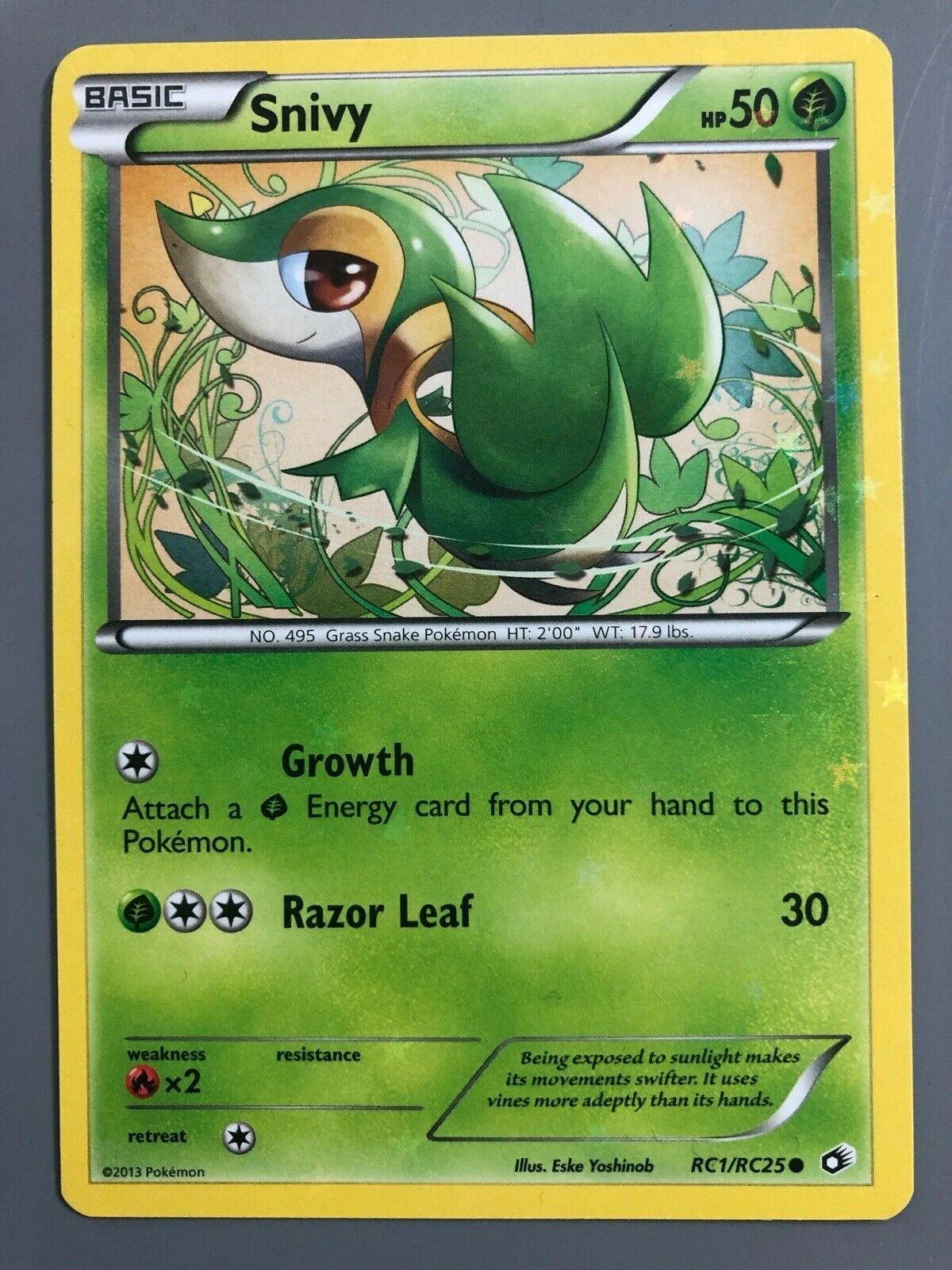 Snivy Rc1
