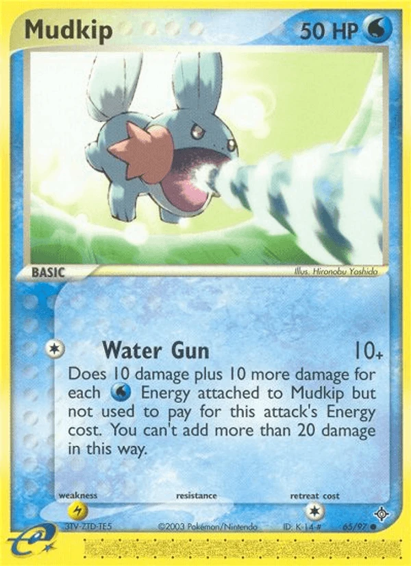 Mudkip #65